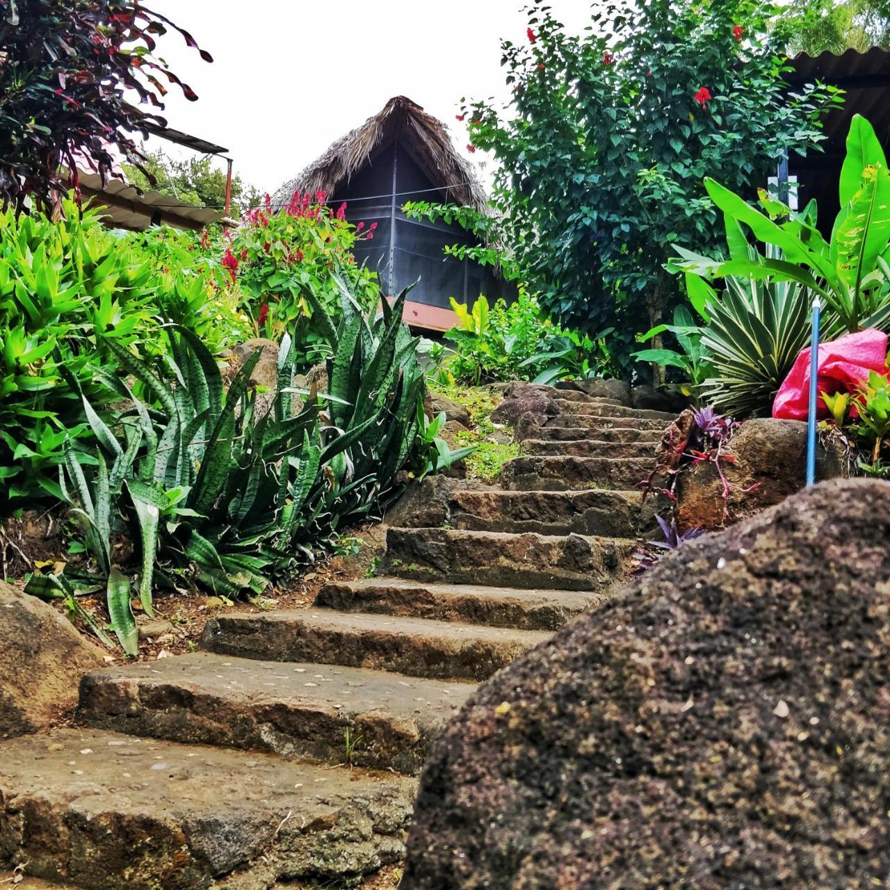 Finca Del Sol Eco Lodge Санта-Крус Экстерьер фото